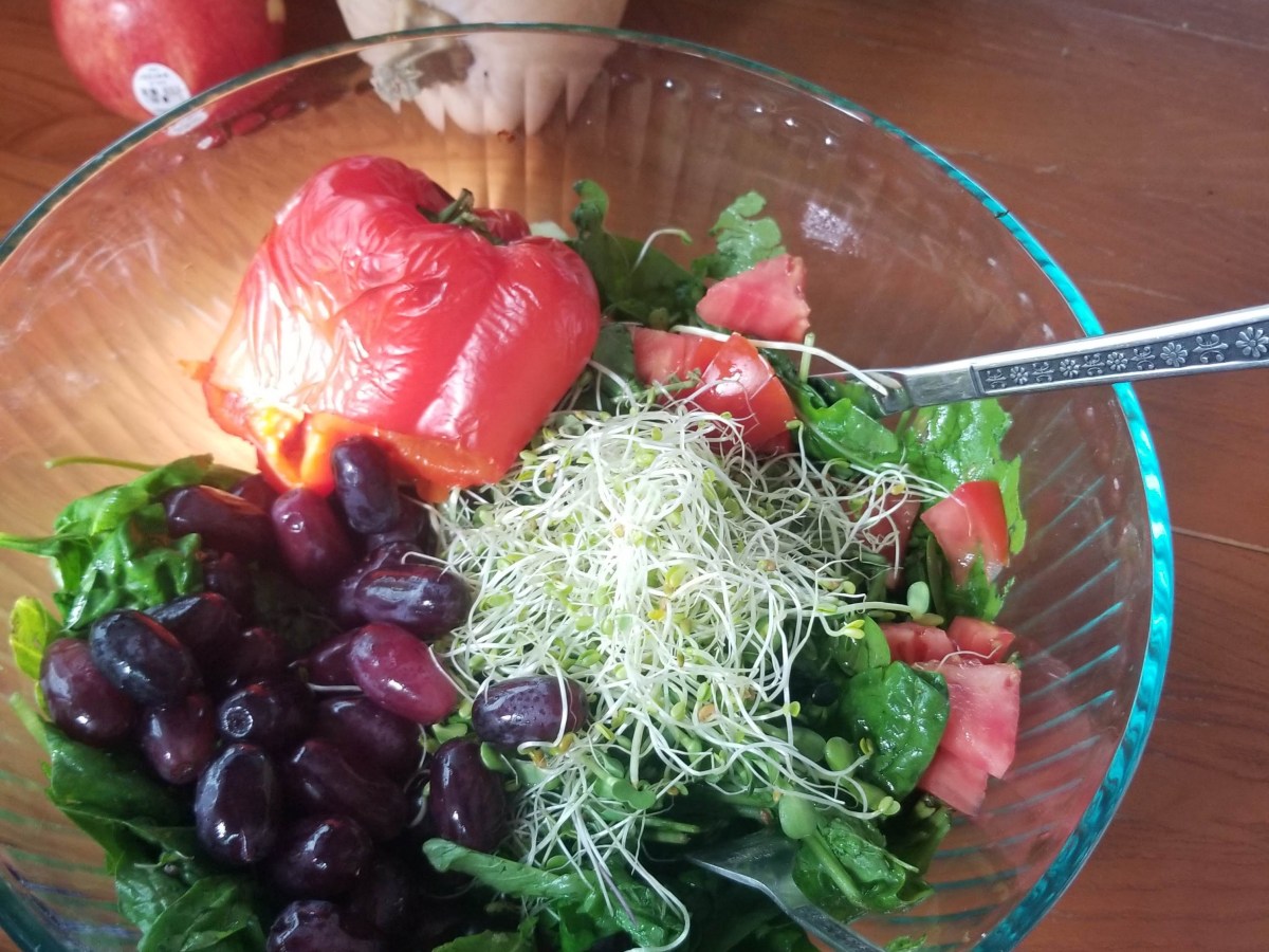 Meat VS Plant&nbsp;Eaters